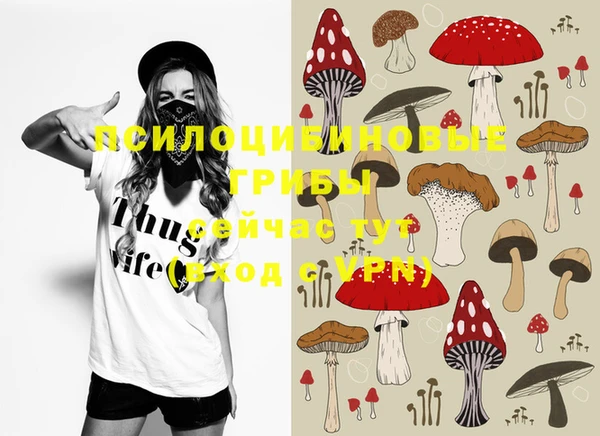 ALPHA PVP Михайловск