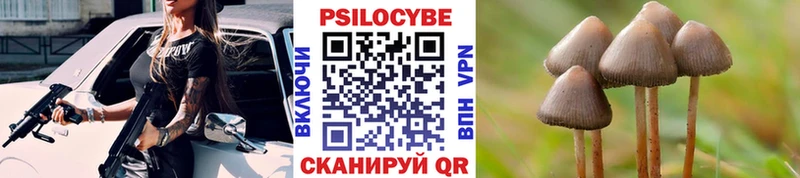 Купить где  Реутов  Галлюциногенные грибы Magic Shrooms 